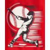 imageThe Childrens Place Boys 100 Cotton Sleeve Top and Shorts 2 Piece Pajama SetBaseball