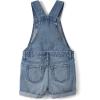 imageThe ChildrenS Place Girls Denim Shortall OverallsAutumn Wash