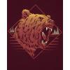imageThe Childrens Place boys Short Sleeve Graphic Tshirt 2pack T Shirt BearPanther XXLarge US