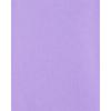 imageThe Childrens Place Baby and Toddler Girls High Low Basic Layering TeeLacrosse Violet