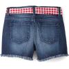 imageDenim Shortie ShortsBrooke Wash