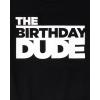 imageThe Childrens Place Boys All HolidaysBirthdays Short Sleeve Graphic TShirts2 PackBirthday DudeDino