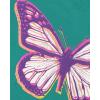 imageThe Childrens Place Girls UnicornsButterfly Short Sleeve Graphic TShirts3 PackButterflyButterfly HeartsRainbows