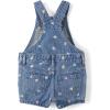 imageThe Childrens Place babygirls And Toddler Girls Denim ShortallsDenim Confetti Hearts