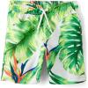 imageThe Childrens Place Boys Swim TrunksApplemint Board Short