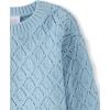 imageThe Childrens Place Girls Long Sleeve Crew Neck Pullover SweaterChalk Blue Crochet