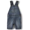 imageThe Childrens Place babyboys And Toddler Denim Short OverallVane Wash