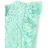 imageThe Childrens Place Baby Girls and Newborn Ruffle Dressy DressMellow Aqua Lace